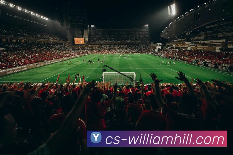 多媒体互动体验