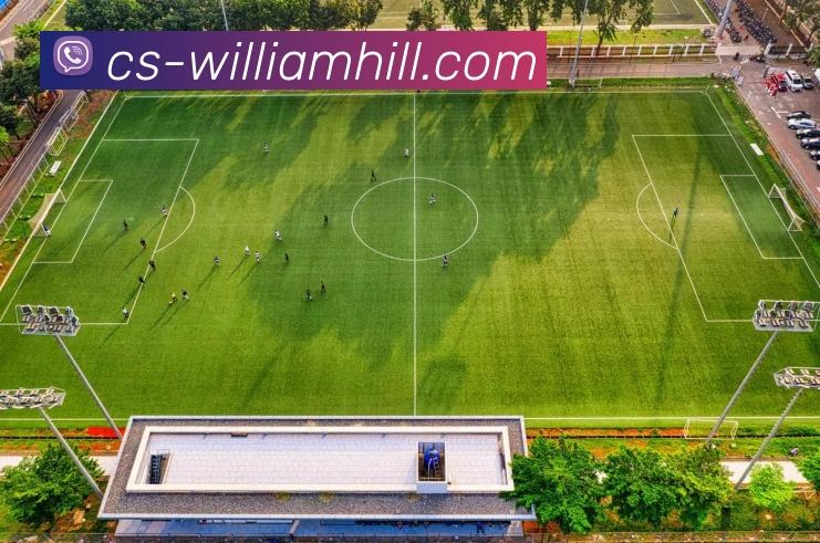 BETWAY必威官网APP 高清赛事图